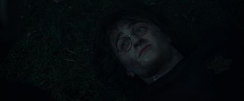 Click to view full size image
==============
CdF-Potterish_8120.jpg CdF-Potterish_8120.jpg