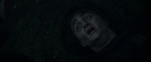 CdF-Potterish_8121.jpg