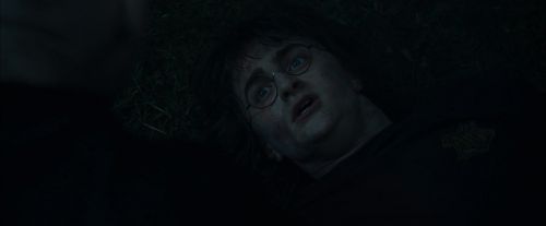 CdF-Potterish_8124.jpg