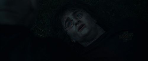CdF-Potterish_8125.jpg