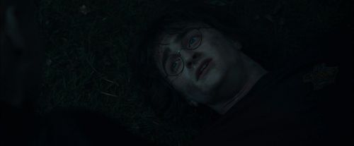 Click to view full size image
==============
CdF-Potterish_8131.jpg CdF-Potterish_8131.jpg