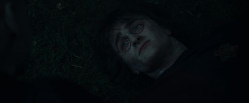 CdF-Potterish_8132.jpg