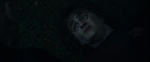 Click to view full size image
==============
CdF-Potterish_8133.jpg CdF-Potterish_8133.jpg