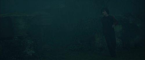 CdF-Potterish_8145.jpg