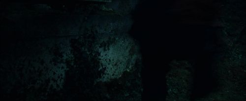 CdF-Potterish_8147.jpg