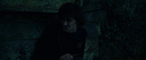 CdF-Potterish_8150.jpg