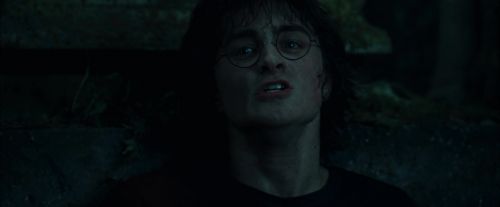 Click to view full size image
==============
CdF-Potterish_8153.jpg CdF-Potterish_8153.jpg