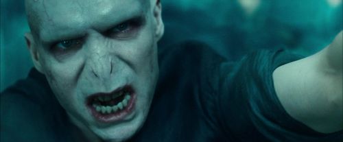 CdF-Potterish_8248.jpg