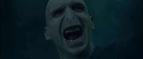 CdF-Potterish_8277.jpg