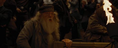 CdF-Potterish_8291.jpg