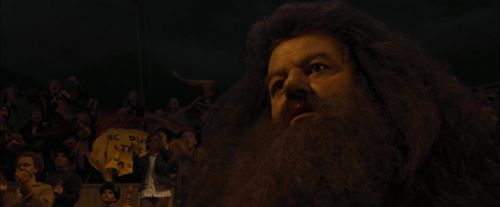 Click to view full size image
==============
CdF-Potterish_8299.jpg CdF-Potterish_8299.jpg