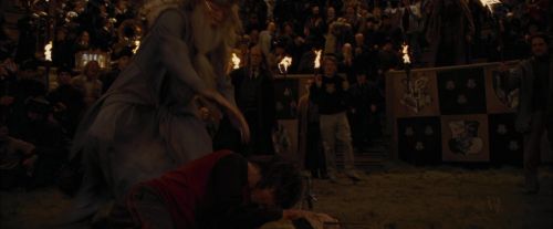 Click to view full size image
==============
CdF-Potterish_8301.jpg CdF-Potterish_8301.jpg