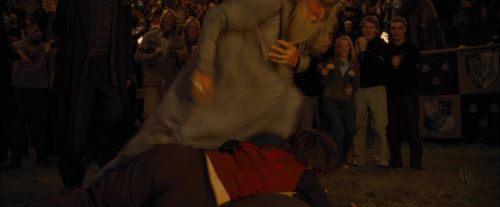 CdF-Potterish_8305.jpg