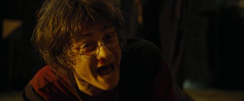 Click to view full size image
==============
CdF-Potterish_8309.jpg CdF-Potterish_8309.jpg