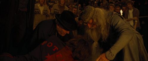 CdF-Potterish_8313.jpg
