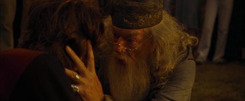 CdF-Potterish_8320.jpg