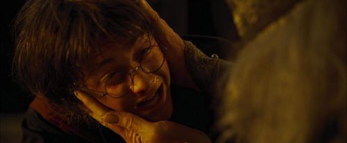 Click to view full size image
==============
CdF-Potterish_8323.jpg CdF-Potterish_8323.jpg