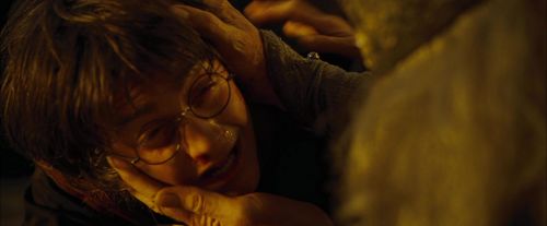 CdF-Potterish_8324.jpg