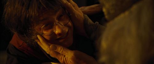 CdF-Potterish_8325.jpg