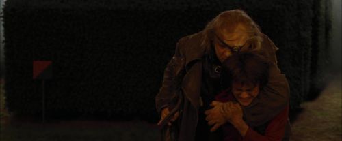 Click to view full size image
==============
CdF-Potterish_8361.jpg CdF-Potterish_8361.jpg