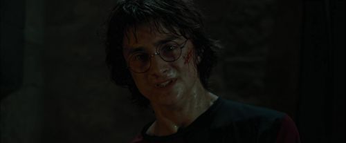 CdF-Potterish_8479.jpg