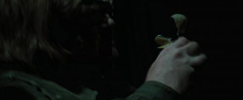 CdF-Potterish_8481.jpg