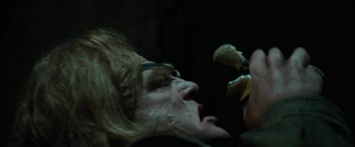 CdF-Potterish_8483.jpg