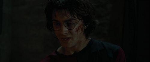 CdF-Potterish_8501.jpg