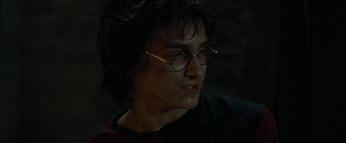 CdF-Potterish_8511.jpg