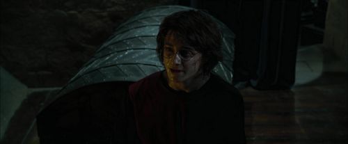 Click to view full size image
==============
CdF-Potterish_8566.jpg CdF-Potterish_8566.jpg