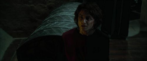 CdF-Potterish_8575.jpg