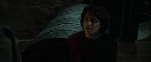 CdF-Potterish_8576.jpg