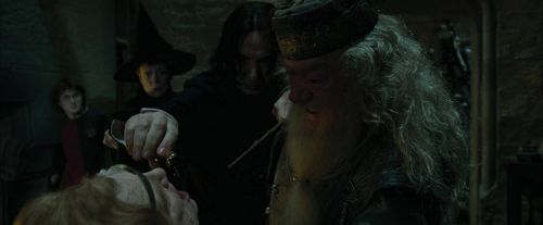 CdF-Potterish_8618.jpg