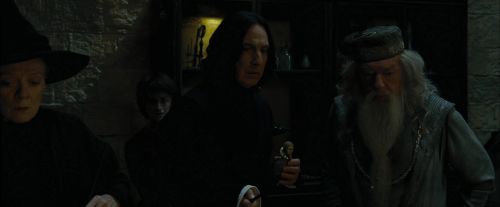 CdF-Potterish_8650.jpg