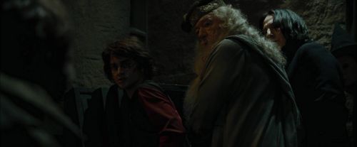 CdF-Potterish_8679.jpg