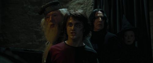 Click to view full size image
==============
CdF-Potterish_8686.jpg CdF-Potterish_8686.jpg