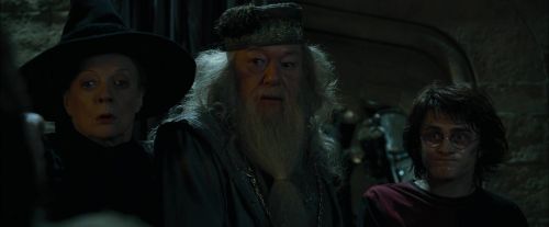 Click to view full size image
==============
CdF-Potterish_8718.jpg CdF-Potterish_8718.jpg