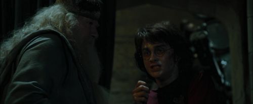 CdF-Potterish_8752.jpg