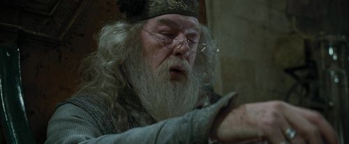CdF-Potterish_8776.jpg