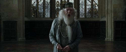 CdF-Potterish_8801.jpg
