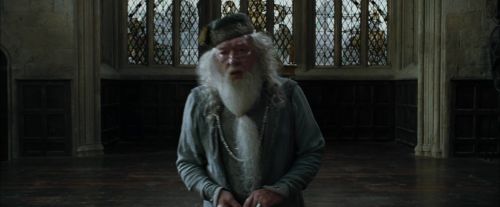 CdF-Potterish_8811.jpg