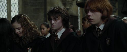 Click to view full size image
==============
CdF-Potterish_8818.jpg CdF-Potterish_8818.jpg
