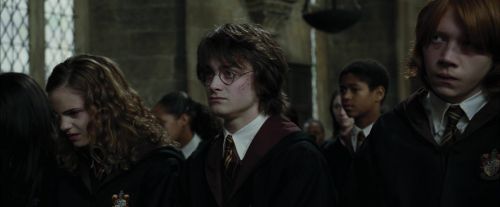 CdF-Potterish_8820.jpg