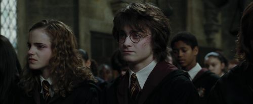CdF-Potterish_8828.jpg