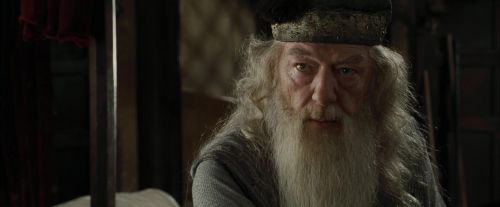 CdF-Potterish_8940.jpg