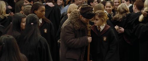 Click to view full size image
==============
CdF-Potterish_9003.jpg CdF-Potterish_9003.jpg