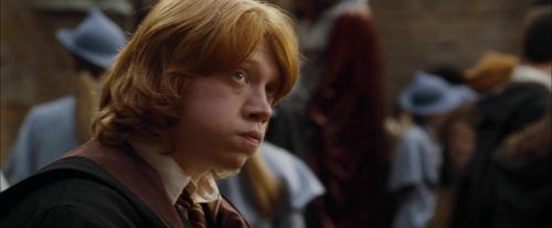 Click to view full size image
==============
CdF-Potterish_9025.jpg CdF-Potterish_9025.jpg