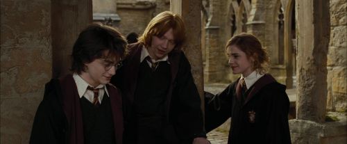 Click to view full size image
==============
CdF-Potterish_9072.jpg CdF-Potterish_9072.jpg