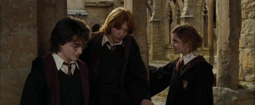 Click to view full size image
==============
CdF-Potterish_9073.jpg CdF-Potterish_9073.jpg