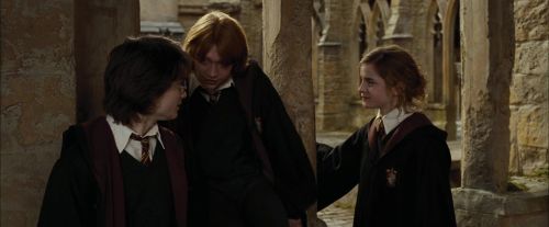 Click to view full size image
==============
CdF-Potterish_9074.jpg CdF-Potterish_9074.jpg